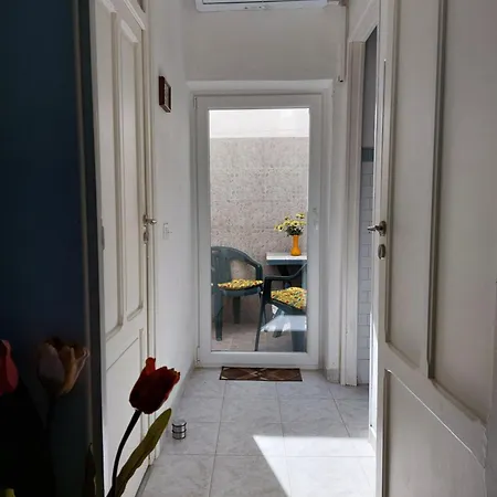 Apartment Salsedine *